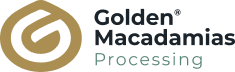 Processing