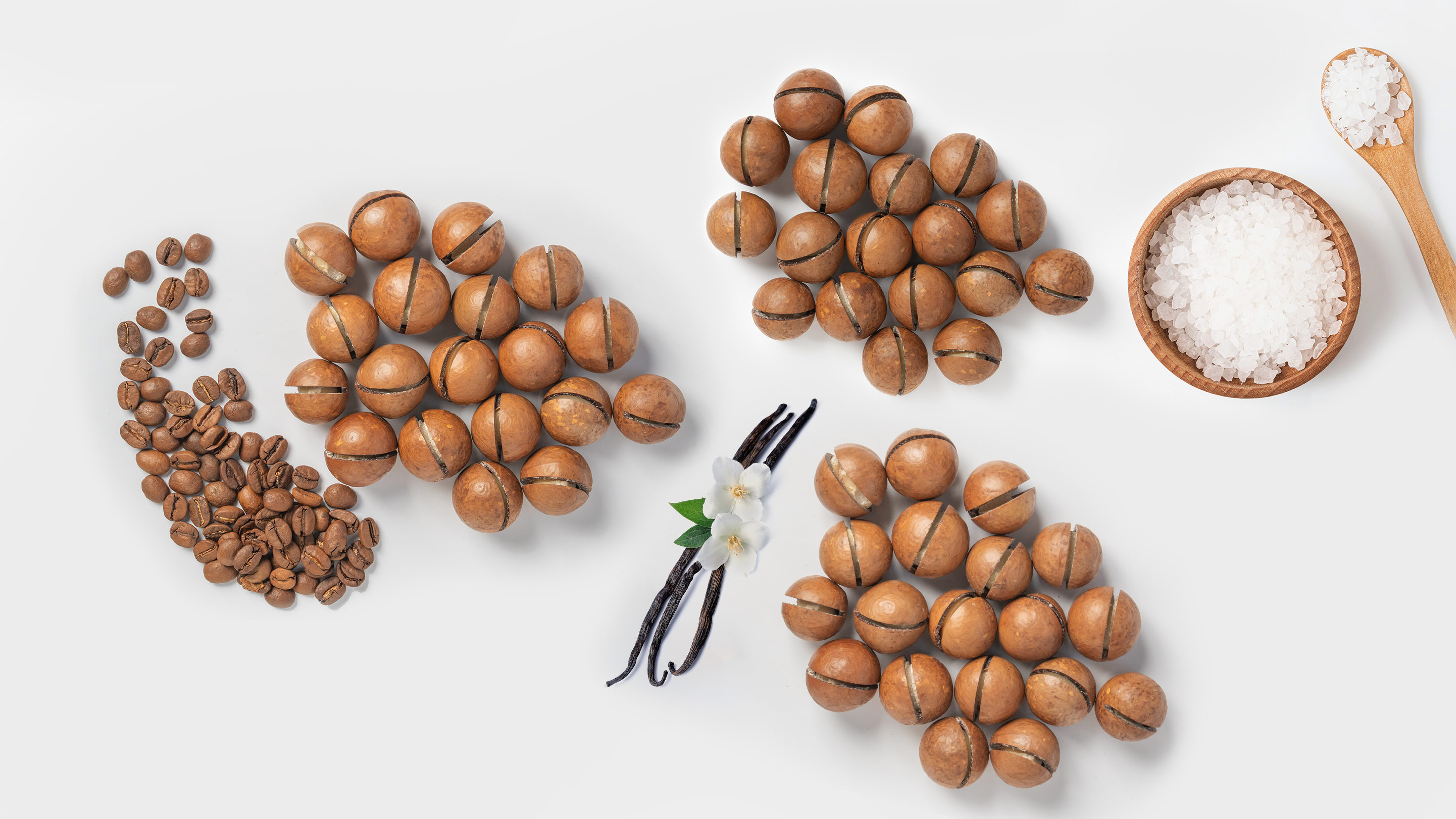 Macadamias